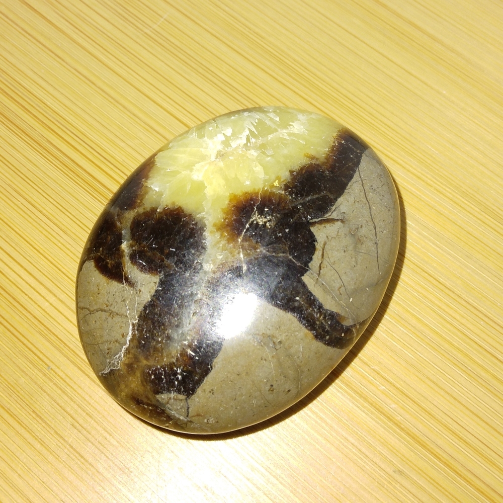 Septerian palm stone